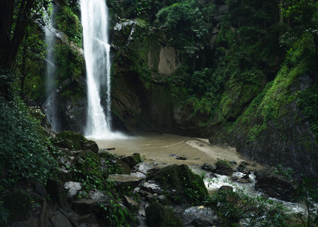 Chute d'eau dans une forêt profonde