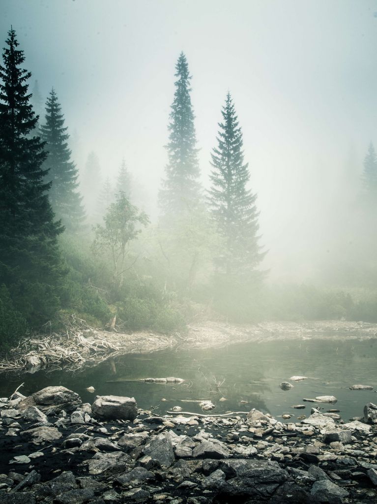 Un beau lac de montagne