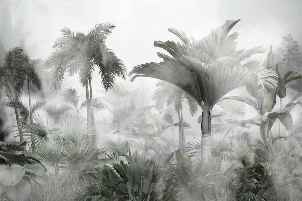 Brume Jungle Monochrome