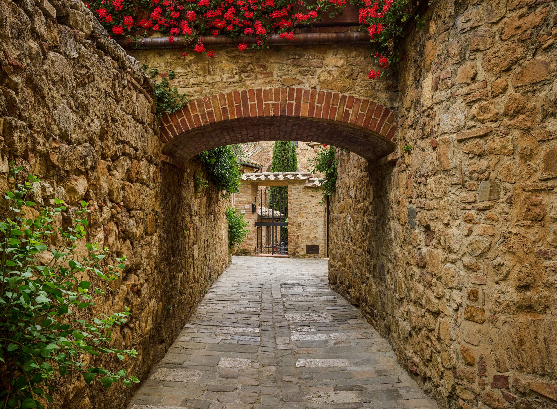 Papier Peint Petite arche avec des fleurs rouges